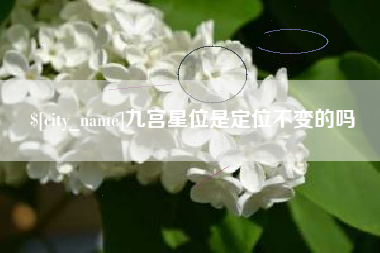 临朐九宫星位是定位不变的吗