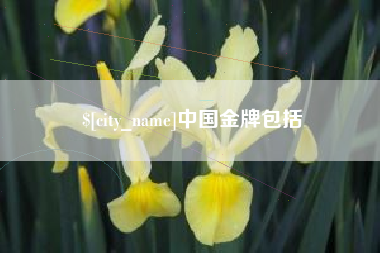 临朐中国金牌包括