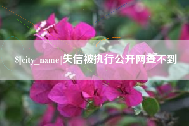 临朐失信被执行公开网查不到