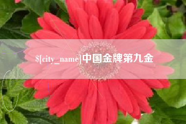 临朐中国金牌第九金