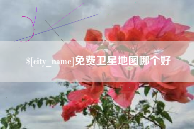临朐免费卫星地图哪个好