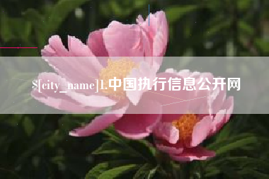 临朐1.中国执行信息公开网