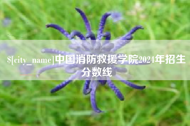 临朐中国消防救援学院2024年招生分数线