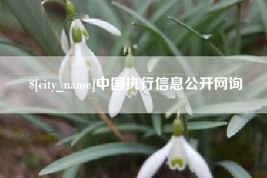 临朐中国执行信息公开网询
