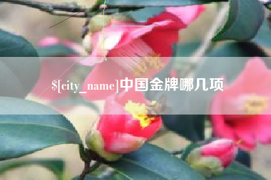 临朐中国金牌哪几项