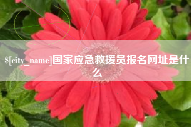 临朐国家应急救援员报名网址是什么