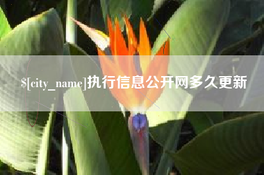 临朐执行信息公开网多久更新
