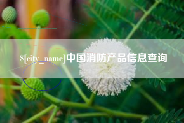 临朐中国消防产品信息查询
