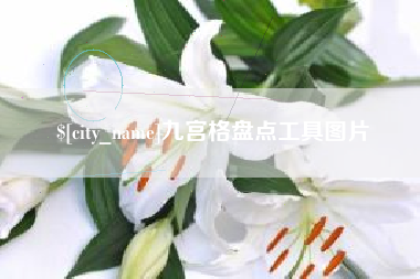 临朐九宫格盘点工具图片