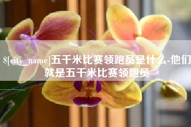 临朐五千米比赛领跑员是什么-他们就是五千米比赛领跑员