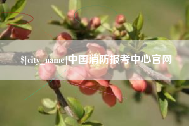 临朐中国消防报考中心官网