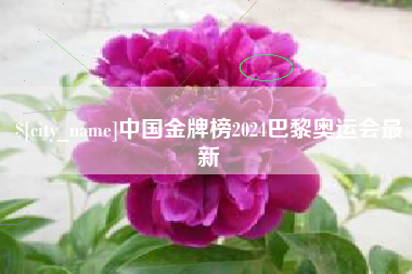 临朐中国金牌榜2024巴黎奥运会最新