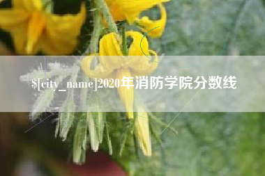 临朐2020年消防学院分数线