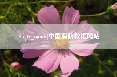 临朐中国消防救援网站
