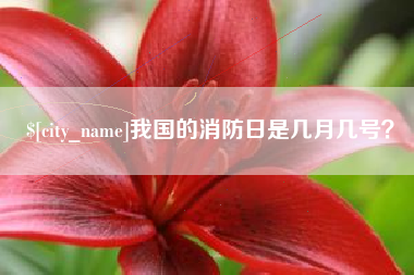 临朐我国的消防日是几月几号？