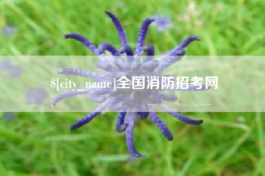 临朐全国消防招考网