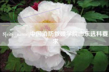 临朐中国消防救援学院山东选科要求