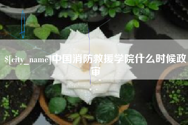 临朐中国消防救援学院什么时候政审