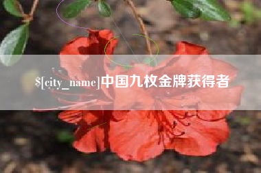 临朐中国九枚金牌获得者
