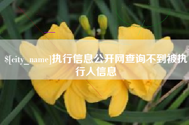 临朐执行信息公开网查询不到被执行人信息