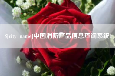 临朐中国消防产品信息查询系统1