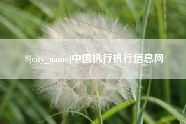 临朐中国执行执行信息网
