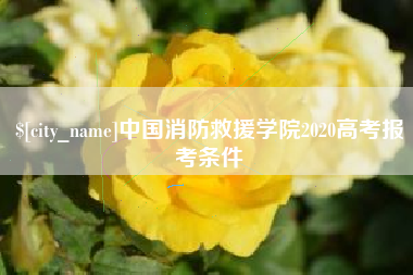 临朐中国消防救援学院2020高考报考条件