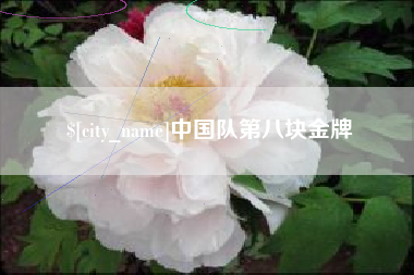 临朐中国队第八块金牌