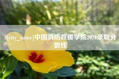临朐中国消防救援学院2021录取分数线