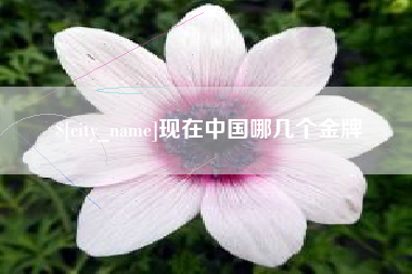 临朐现在中国哪几个金牌