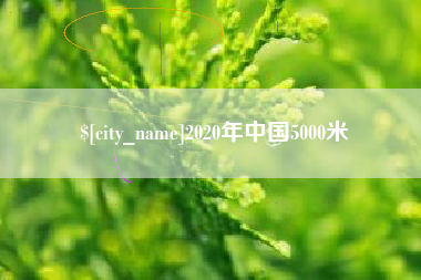 临朐2020年中国5000米