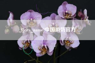临朐中国消防官方