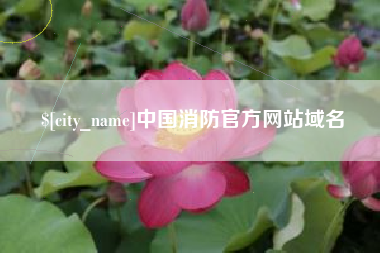 临朐中国消防官方网站域名