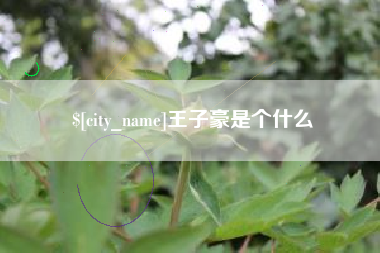 临朐王子豪是个什么