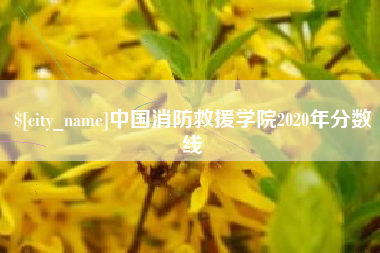 临朐中国消防救援学院2020年分数线