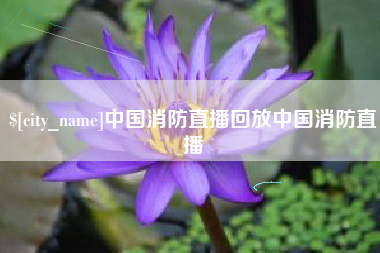 临朐中国消防直播回放中国消防直播
