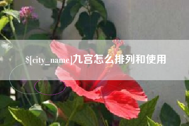 临朐九宫怎么排列和使用