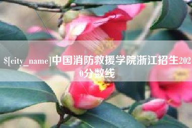 临朐中国消防救援学院浙江招生2020分数线