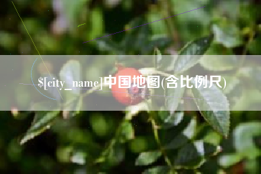 临朐中国地图(含比例尺)