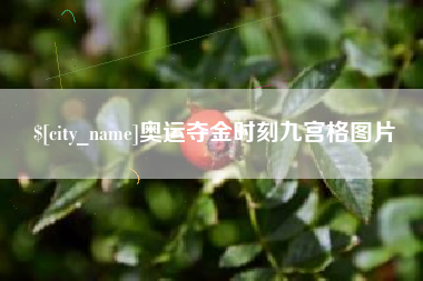 临朐奥运夺金时刻九宫格图片