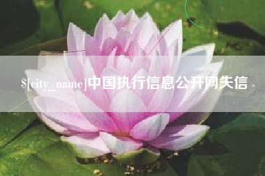 临朐中国执行信息公开网失信