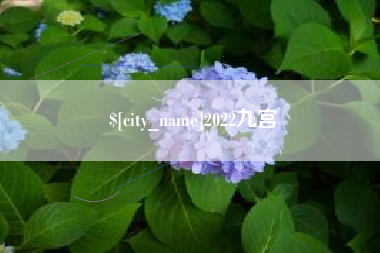 临朐2022九宫