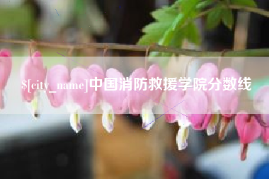临朐中国消防救援学院分数线