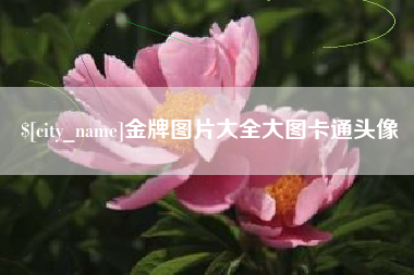 临朐金牌图片大全大图卡通头像