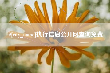 临朐执行信息公开网查询免费