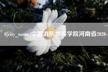 临朐中国消防救援学院河南省2020