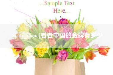 临朐看看中国的金牌有多少
